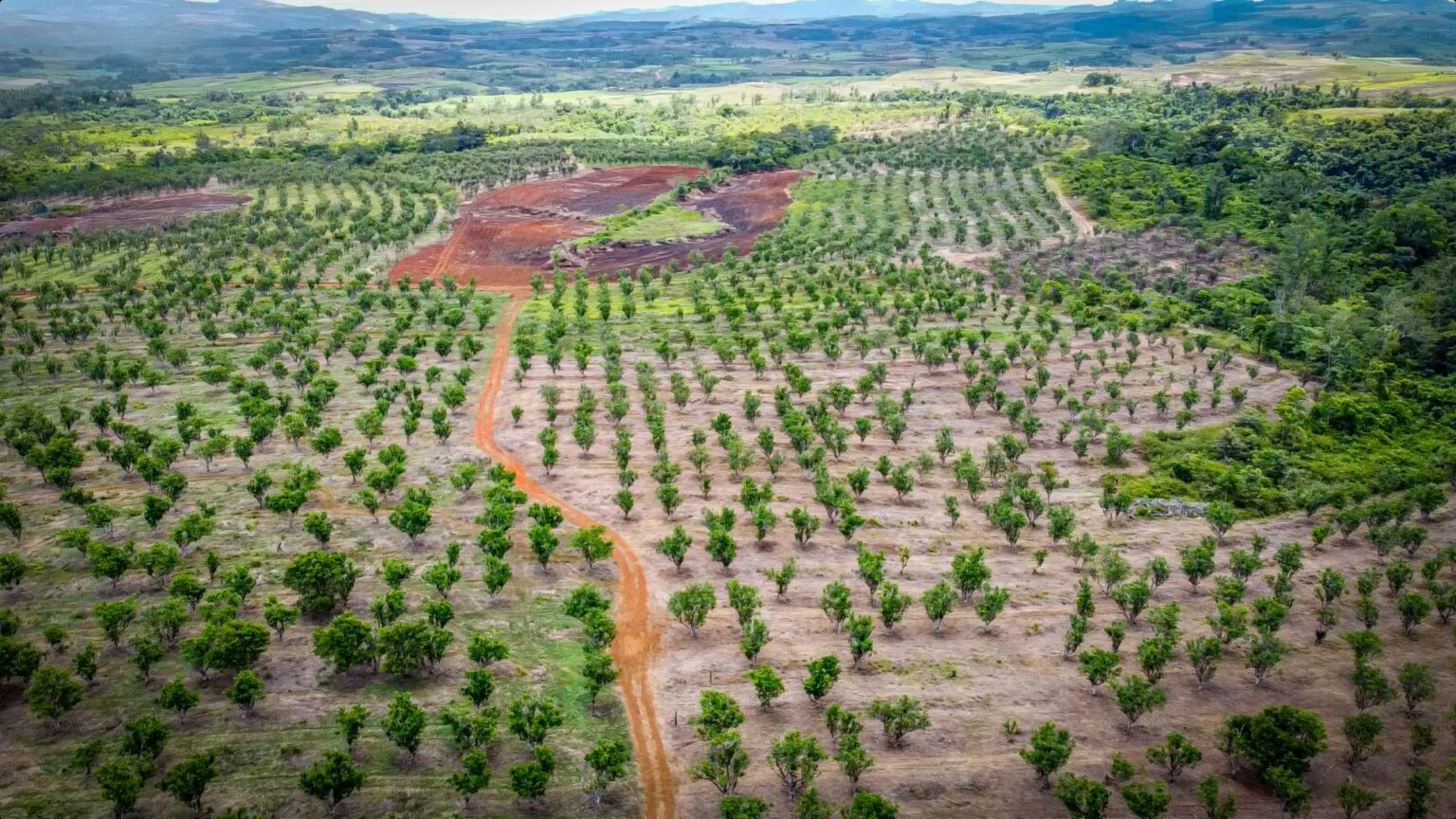 Food Processors Fiji Batiri Farm